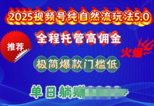 2025视频号纯自然流玩法5.0，全程托管高佣金，极简爆款门槛低，单日收益多张【揭秘】-皓哥创业笔记