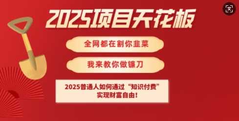 2025项目天花板普通人如何通过知识付费，实现财F自由【揭秘】-皓哥创业笔记