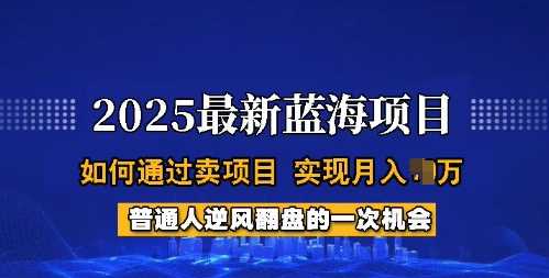 2025蓝海项目，普通人如何通过卖项目，实现月入过W，全过程【揭秘】-皓哥创业笔记