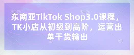 东南亚TikTok Shop3.0课程，TK小店从初级到高阶，运营出单干货输出-网亿资源平台