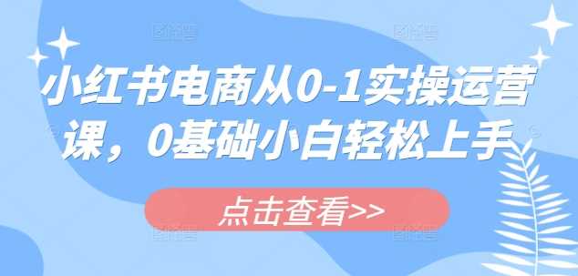 小红书电商从0-1实操运营课，0基础小白轻松上手-网亿资源平台