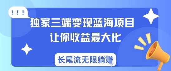 独家三端变现蓝海项目，让你收益最大化，长尾流无限躺挣-网亿资源平台