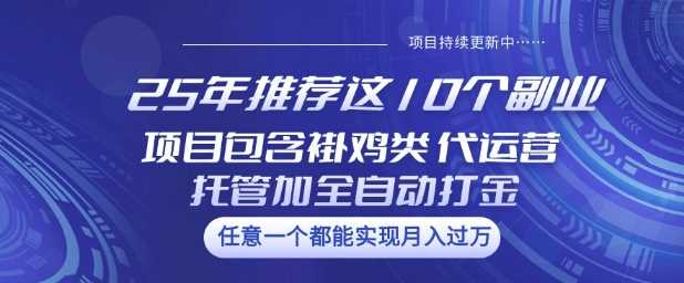 25年推荐这10个副业项目包含褂鸡类、代运营托管类、全自动打金类【揭秘】-皓哥创业笔记