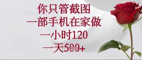 你只管截图，一部手机在家操作，一小时120.一天5张【揭秘】-网亿资源平台