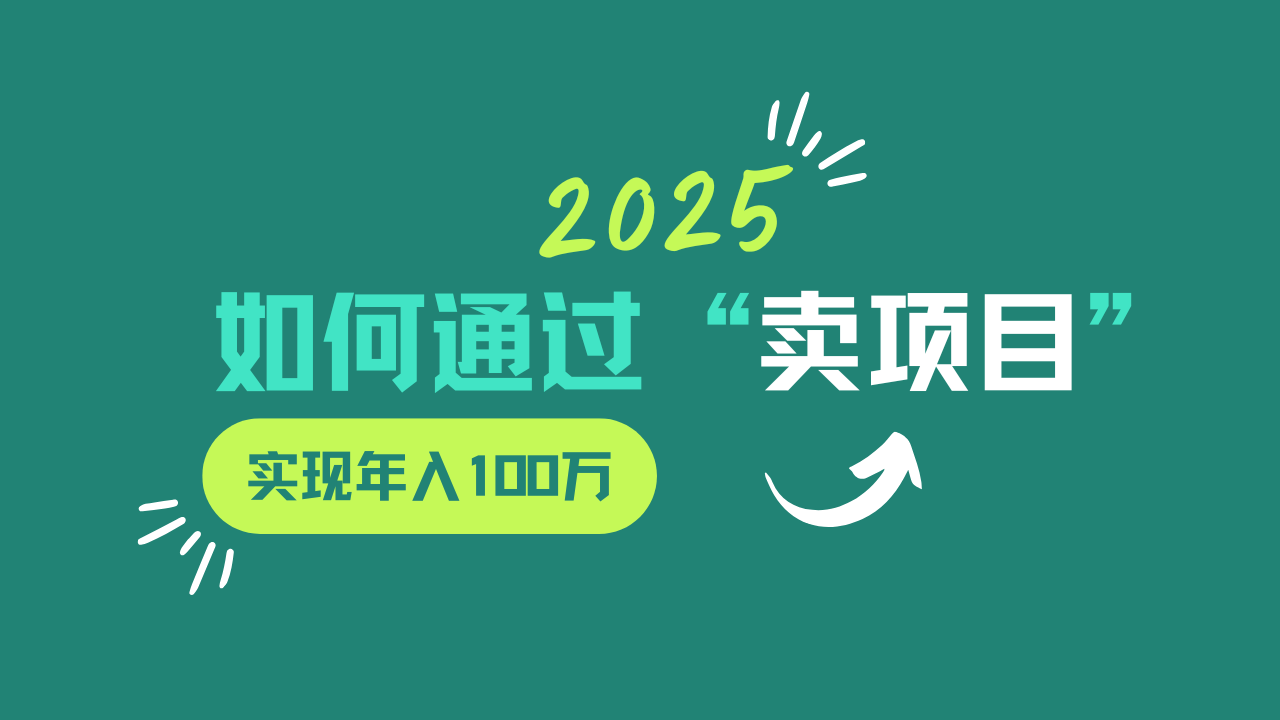 2025年如何通过“卖项目”实现年入100w-网亿资源平台