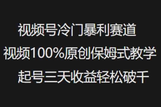 视频号冷门暴利赛道视频100%原创保姆式教学起号三天收益轻松破千-皓哥创业笔记