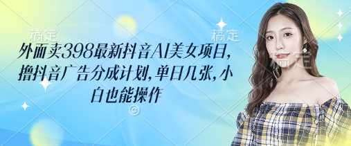 外面卖398最新抖音AI美女项目，撸抖音广告分成计划，单日几张，小白也能操作-网亿资源平台