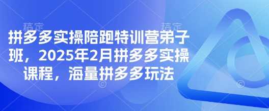 拼多多实操陪跑特训营弟子班，2025年2月拼多多实操课程，海量拼多多玩法-皓哥创业笔记
