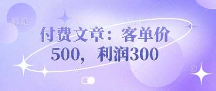 付费文章：客单价500，利润300-网亿资源平台