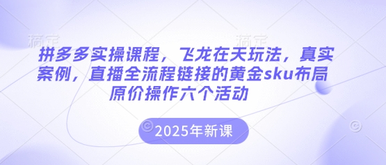 拼多多实操课程，飞龙在天玩法，真实案例，直播全流程链接的黄金sku布局原价操作六个活动-网亿资源平台