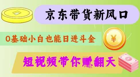 最新京东短视频带货代运营秘籍，轻松躺挣【揭秘】-网亿资源平台