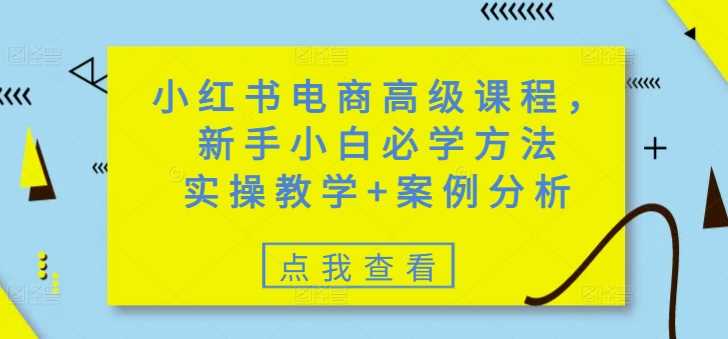 小红书电商高级课程,新手小白必学方法,实操教学+案例分析-皓哥创业笔记