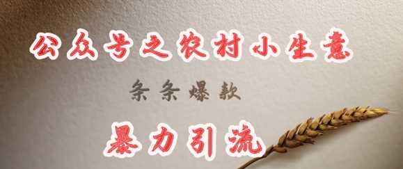 deepseek写农村小项目，条条爆款，暴力引流-网亿资源平台