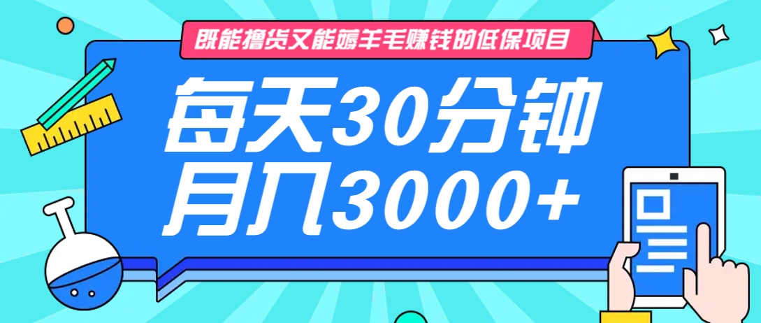 既能撸货又能赚钱的长期低保项目，每天30分钟，多号百分百稳定月入3000+！-网亿资源平台