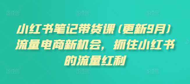 小红书笔记带货课(更新25年3月)流量电商新机会，抓住小红书的流量红利-网亿资源平台