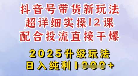 2025全新升级抖音带货玩法，一天纯利四位数，从剪辑到选品再到发布投流，超详细玩法揭秘-邪修侠 - 演示