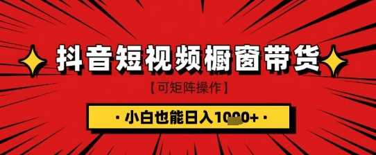 抖音短视频食品橱窗带货，小白轻松上手日入1k+【揭秘】-邪修侠 - 演示