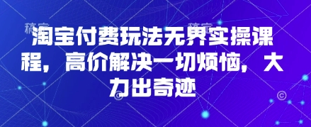 淘宝付费玩法无界实操课程，高价解决一切烦恼，大力出奇迹-网亿资源平台