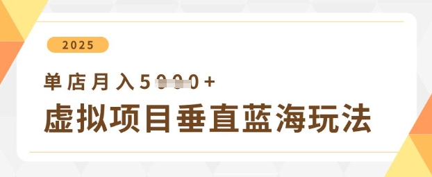虚拟项目垂直玩法，实现单店月入5k+-网亿资源平台