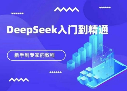 DeepSeek快速从入门到精通，新手的保姆级教程-网亿资源平台