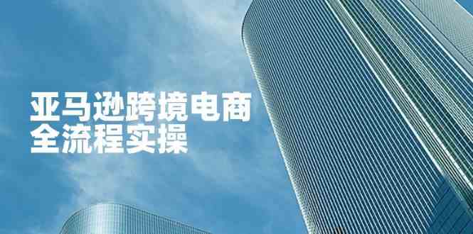 亚马逊跨境电商全流程实操，教你从零开始，掌握店铺运营与广告技巧-网亿资源平台