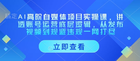 AI高阶自媒体项目实操课，讲透账号运营底层逻辑，从发布视频到规避违规一网打尽-网亿资源平台