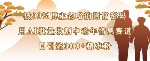 被99%博主忽略的财富密码：用AI批量收割中老年情感赛道，日引流300+精准粉-邪修侠 - 演示