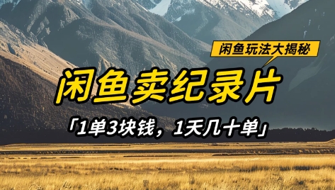 闲鱼卖纪录片1单3块钱,1天几十单,项目稳定有潜力-邪修侠 - 演示