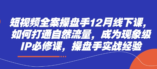 短视频全案操盘手12月线下课，如何打通自然流量，成为现象级IP必修课，操盘手实战经验-网亿资源平台