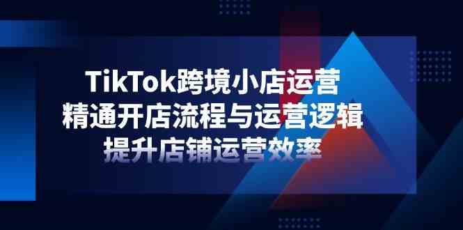 TikTok跨境小店运营，精通开店流程与运营逻辑，提升店铺运营效率-网亿资源平台