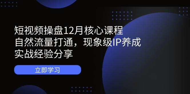 （14447期）短视频操盘12月核心课程：自然流量打通，现象级IP养成，实战经验分享-网亿资源平台