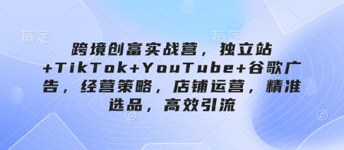 跨境创富实战营，独立站+TikTok+YouTube+谷歌广告，经营策略，店铺运营，精准选品，高效引流-网亿资源平台