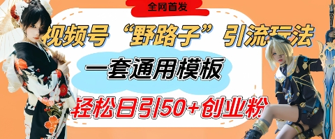 视频号“野路子”玩法，评论区疯狂截流，一套模板单日单号引流50+创业粉-邪修侠