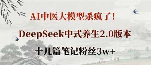 AI中医大模型杀疯了！DeepSeek中式养生2.0版本，十几篇笔记粉丝3w+-网亿资源平台