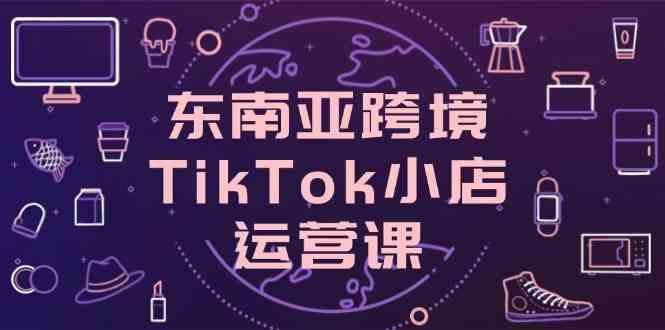 东南亚跨境TikTok小店运营课，掌握店铺设置与流量转化核心技巧-网亿资源平台