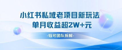 小红书私域项目新玩法，单月变现过W+-网亿资源平台