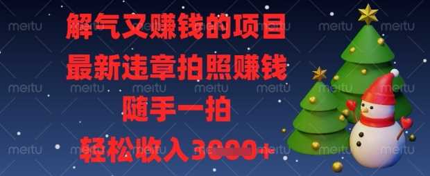 解气又挣钱的项目，最新违章拍照挣钱，随手一拍，轻松收入数张【揭秘】-网亿资源平台