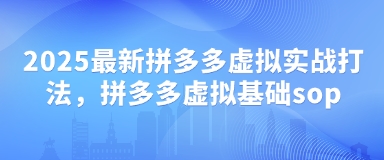 2025最新拼多多虚拟实战打法，拼多多虚拟基础sop-网亿资源平台