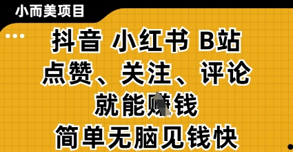 小而美的项目，抖音小红书B站视频点赞、关注、评论就能挣钱，简单无脑立见收益，妥妥的零撸项目【揭秘】-网亿资源平台