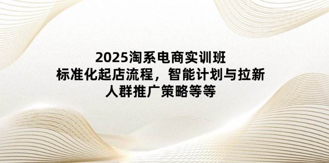（14522期）2025淘系电商实训班：标准化起店流程，智能计划与拉新，人群推广策略等等-网亿资源平台