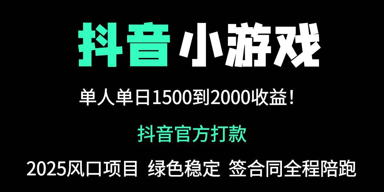 （14527期）抖音官方小游戏2025全网最新玩法，暴利赚钱项目，单机日入2000+，绝不…-网亿资源平台