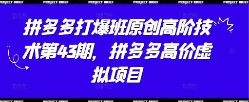 拼多多打爆班原创高阶技术第43期，拼多多高价虚拟项目-网亿资源平台