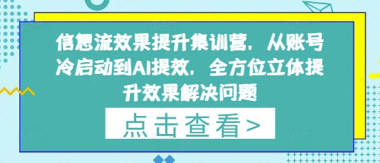 信息流效果提升集训营，从账号冷启动到AI提效，全方位立体提升效果解决问题-网亿资源平台