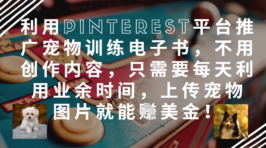 利用Pinterest平台推广宠物训练电子书,不用创作内容,只需要每天利用业余时间,上传宠物图片就能挣美金!-邪修侠