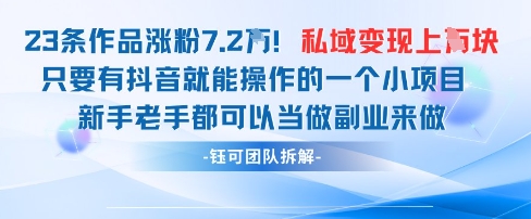 抖音私域项目23条作品涨粉7.2W，私域变现1W-网亿资源平台