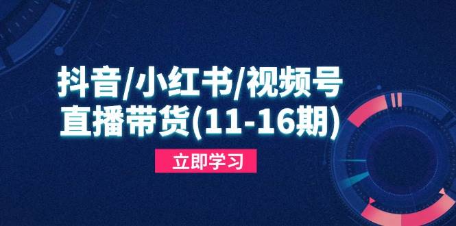 （14611期）抖音/小红书/视频号/直播带货(11-16期)，快速掌握平台规则，打造爆款内容-网亿资源平台