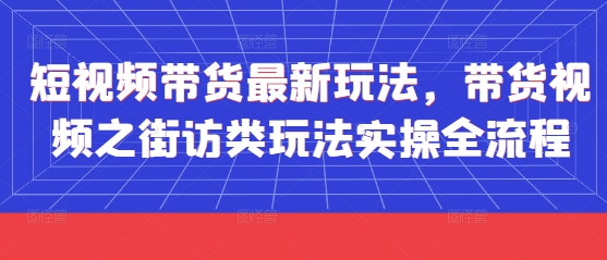 短视频带货最新玩法,带货视频之街访类玩法实操全流程-邪修侠 - 演示