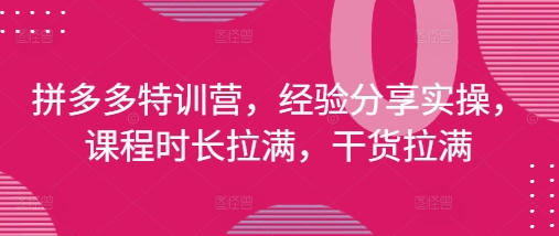 拼多多特训营，经验分享实操，课程时长拉满，干货拉满(更新25年4月)-网亿资源平台