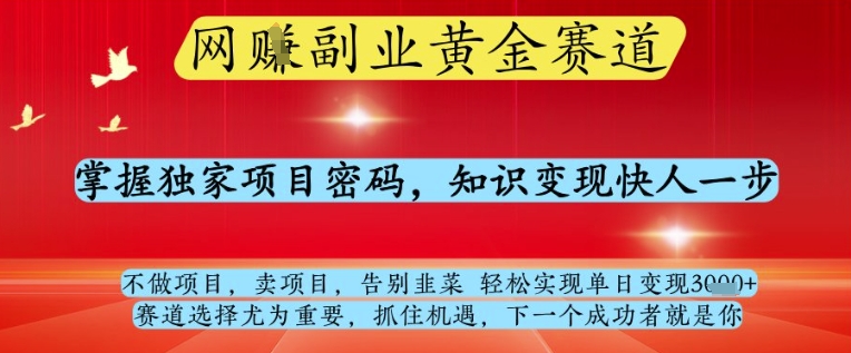 网创副业黄全赛道，掌握独家项目密码，知识变现快人一步，告别韭菜轻松实现单日变现1k+【揭秘】-网亿资源平台