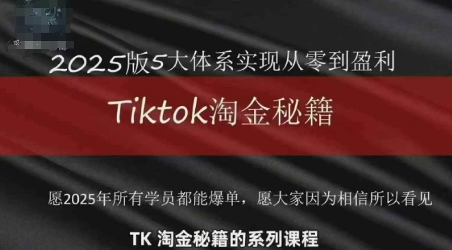 TikTok跨境2025淘金秘籍，2025TikTok从0到盈利变现-网亿资源平台